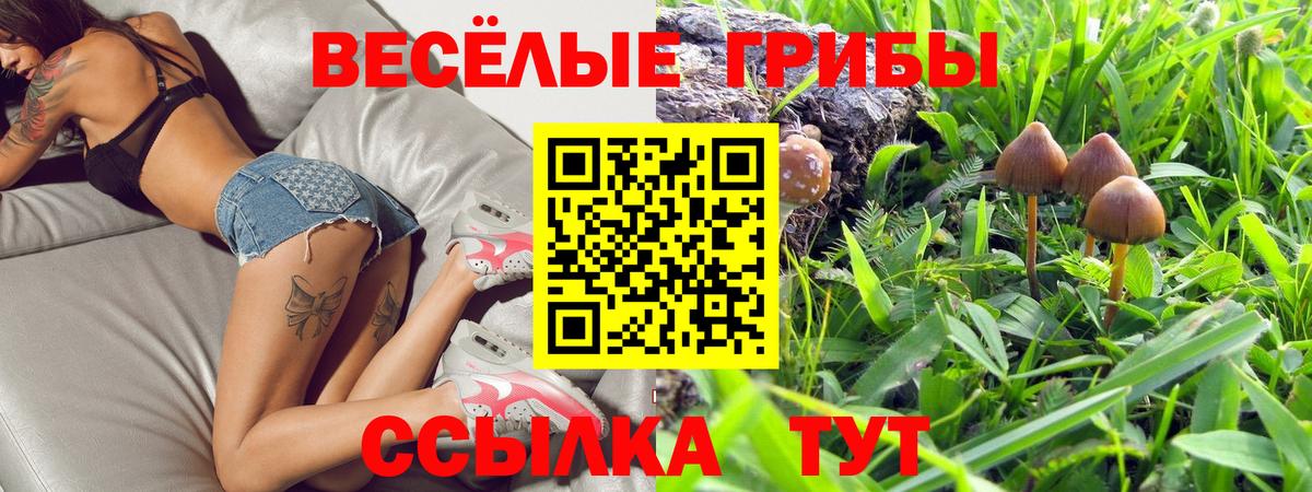 Карабулак  Псилоцибиновые грибы Magic Shrooms  Вход с VPN 