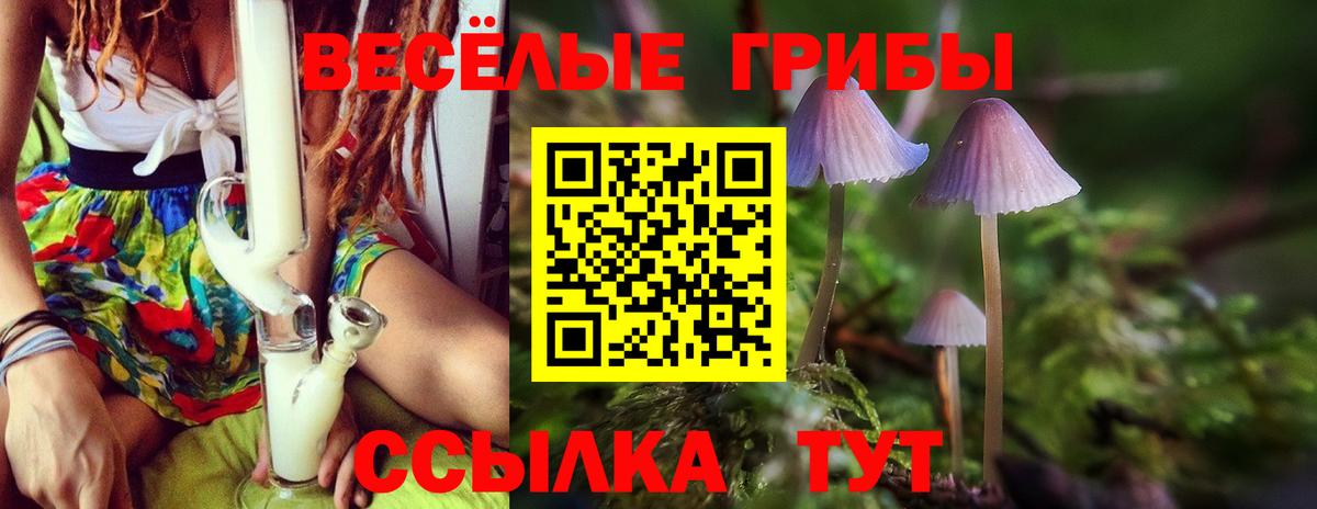 Псилоцибиновые грибы мухоморы Карабулак